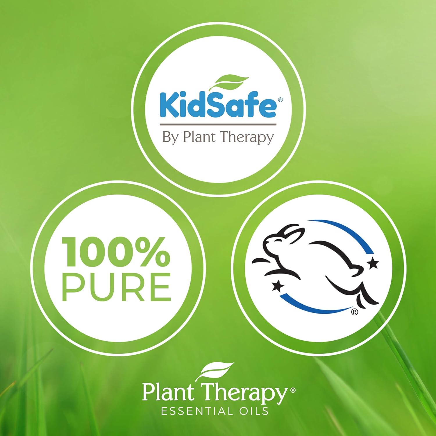 Plant Therapy Lavender Essential Oil 100% Pure, Undiluted, Therapeutic Grade 10 mL (1/3 oz) : Scented Oils : Beauty