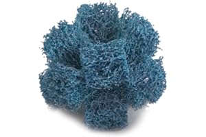 Cubitron Standard Abrasives Aluminum Oxide Medium Grit Metal Deburring Buff - 1" x 3/8", 2 PLY x 8-32 - Pack of 10