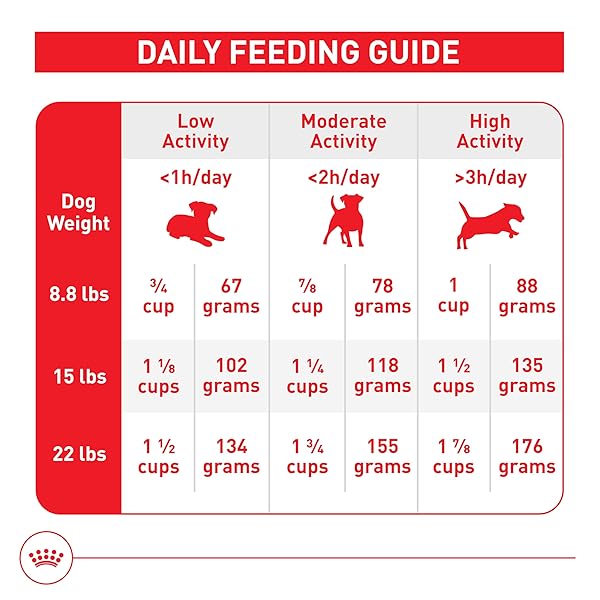 ROYAL CANIN SIZE HEALTH NUTRITION SMALL ADULT 8+ DRY DOG FOOD, 2.5 LB BAG