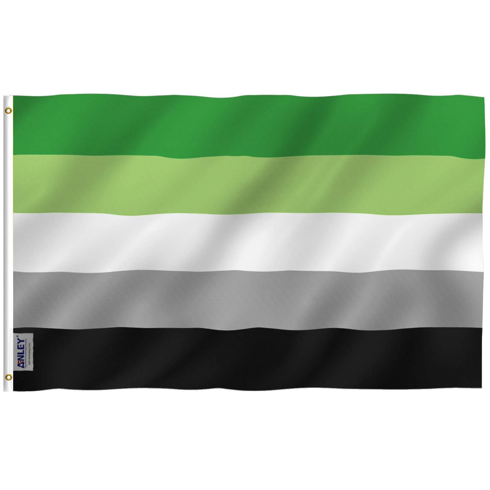 ANLEY Fly Breeze 3x5 Feet Aromantic Pride Flag - Vivid Color and UV Fade Resistant - Canvas Header and Double Stitched - Aromantic Pride Flag with Brass Grommets 3 X 5 Ft