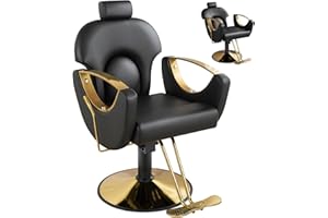 Dangvivi Barber Salon Chair for Hair Stylist,Height Adjustable Hair Chair with Professional Hydraulic PUM,Multi-Function Shampoo Tattoo Beauty Salon Hairdresser Armchair for Barbershop(Black)