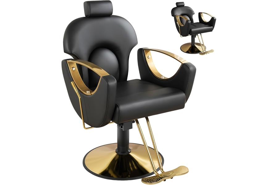 Dangvivi Barber Salon Chair for Hair Stylist,Height Adjustable Hair Chair with Professional Hydraulic PUM,Multi-Function Shampoo Tattoo Beauty Salon Hairdresser Armchair for Barbershop(Black)