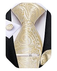 DiBanGu Silk Paisley Ties for Men Woven Necktie and