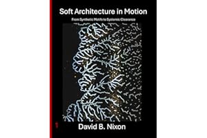 Soft Architecture in Motion: From Synthetic Motifs to Systemic Clearance