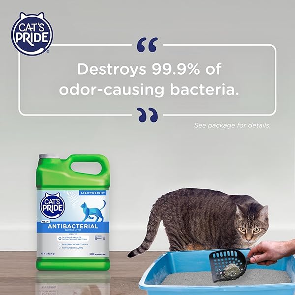 CAT’S PRIDE NEW ANTIBACTERIAL CAT LITTER: DESTROYS 99.9% OF ODOR-CAUSING BACTERIA – POWERFUL ODOR CONTROL – PREMIUM LIGHTWEIGHT CLUMPING LITTER – SCENTED, 12 POUNDS