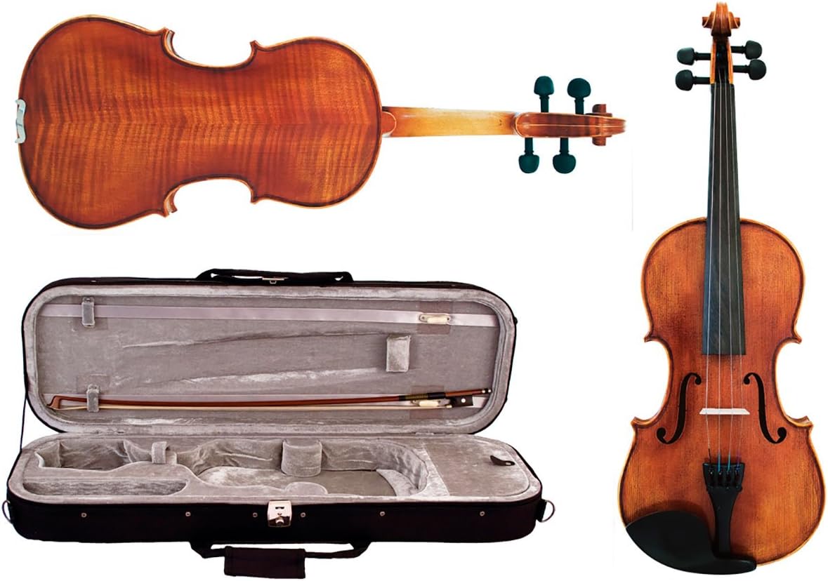 HidersineViolin Vivente 3/4 Outfit.