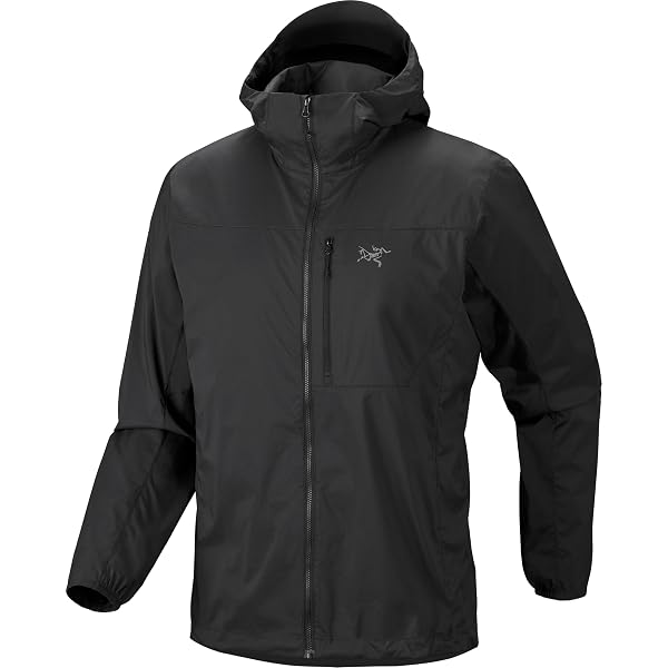Amazon.com: Arc'teryx Gamma Lightweight Jacket Men's | Our