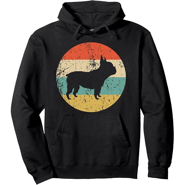 Sweat à Capuche Vintage 'Navigateur Web' - Design Rétro Développeur Informatique - Coupe Classique 241g