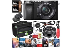 Sony a6100 Mirrorless Camera 4K APS-C ILCE-6100LB with 16-50mm F3.5-5.6 OSS Lens Bundle with 2X Battery + Deco Gear Travel Bag Case + 64GB Memory Card + Photo Video Software Kit + Accessories