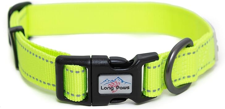 Extra small dog collars uk Clearance