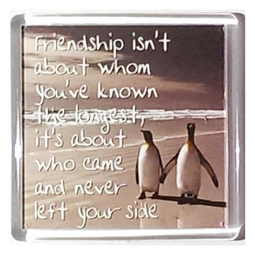 La historia y Heráldica sentimiento imanes de nevera: Amazon.es: Hogar