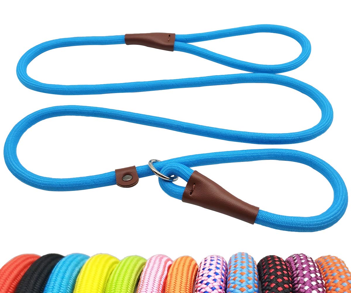 BTINESFUL 5FT Durable Slip Lead Rope Dog Leash, No Pull Nylon Training Leash for Medium Large Dogs, 1/2" X 5', Blue