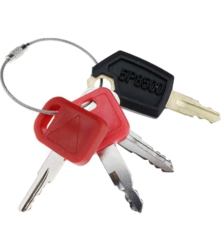 Notonmek Lot De 2 Clés D'allumage 6693241 6709527 714602 A77313