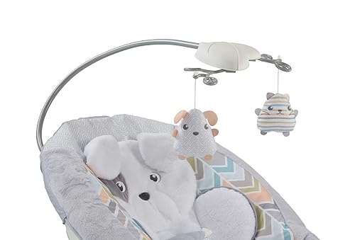 Fisher-Price Sweet Snugapuppy Deluxe Bouncer, portable bouncing