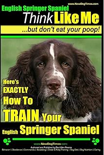 gulf coast english springer spaniels