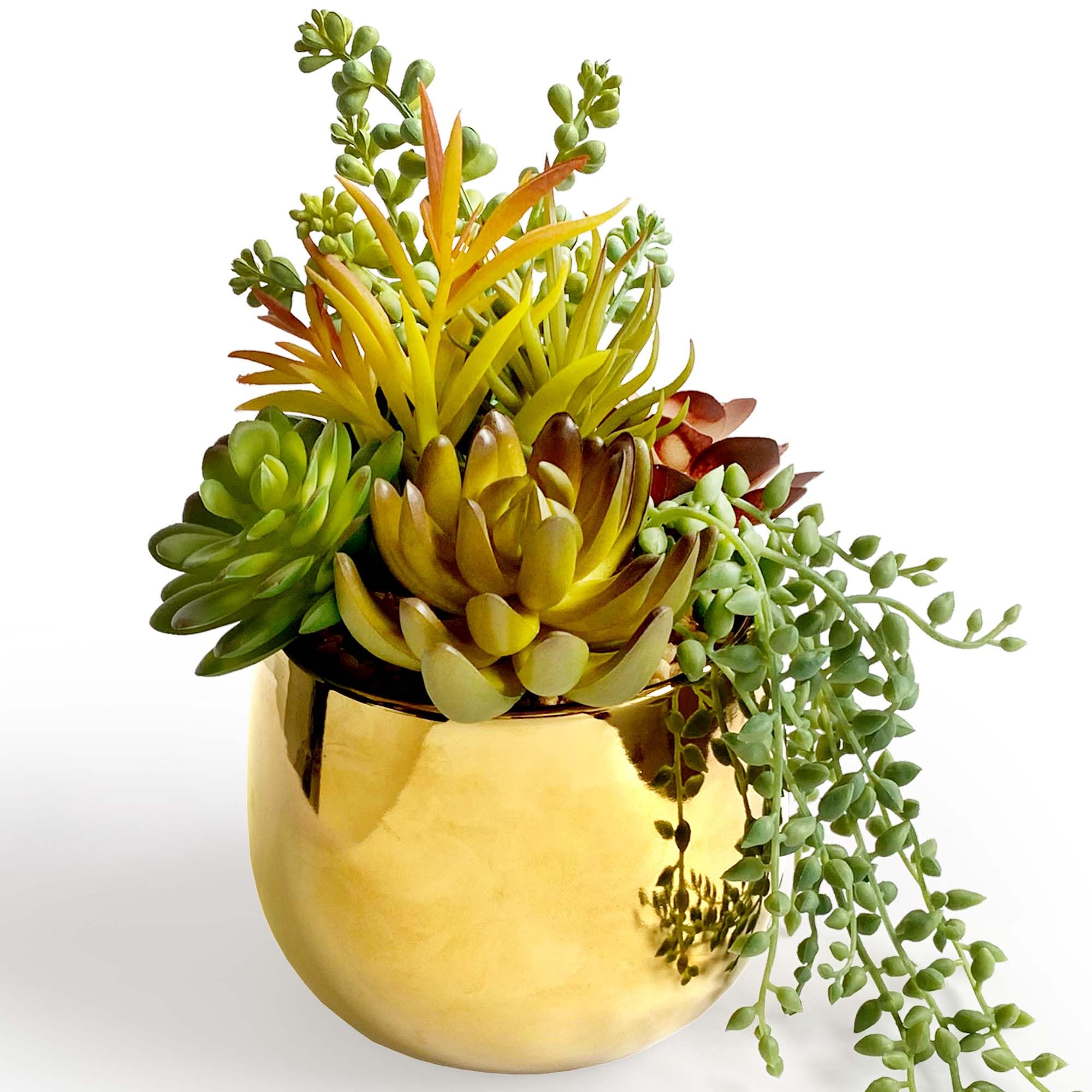 Photo 1 of Casktcom 8" Large Artificial Succulents in Gold Pot, Faux Succulents with Ceramic Gold Planter, Faux Plant Gold Lifelike Succulent Planter for Desk Shelf Office