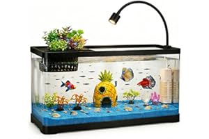 AXINCANAAN 4 Gallon Fish Tank Aquarium Starter Kit with Filter and Light, All in One Small Fish Tank for Betta, Kids & Deskto