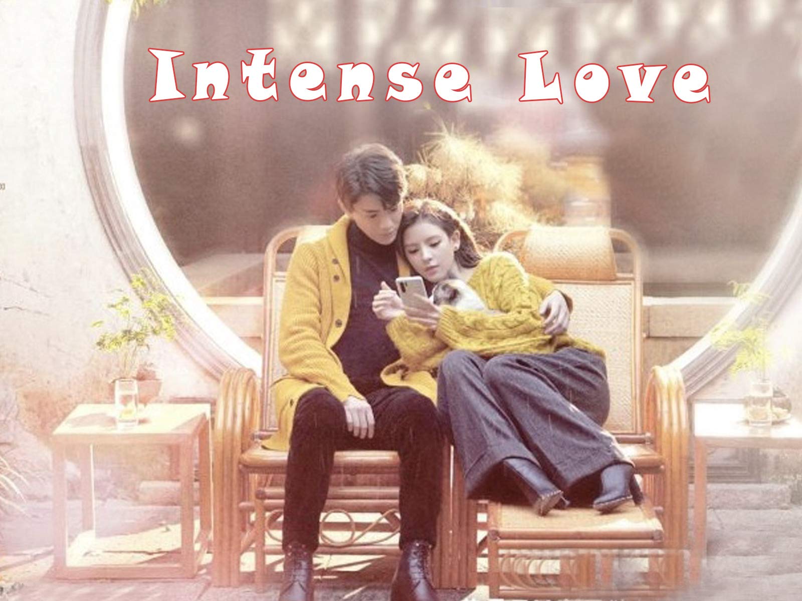 Watch Mr Swimmer Prime Video