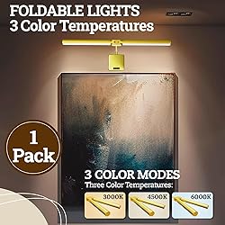 Picture Light with Remote, 18inch Wireless