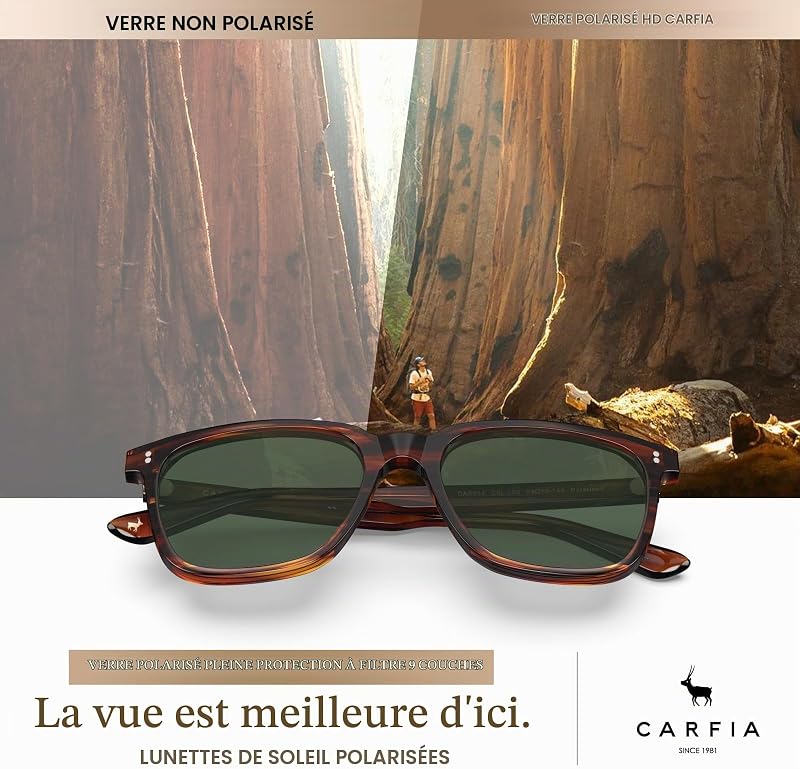 Lunettes de Soleil Homme Polarisée Lunettes Solaires Cat.3 Anti UV pour Pêcher Voyager Conduire