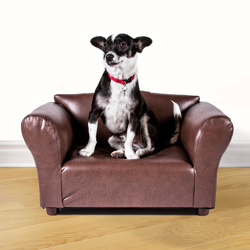 Best Couches for Dogs Top Dog Couches and Review