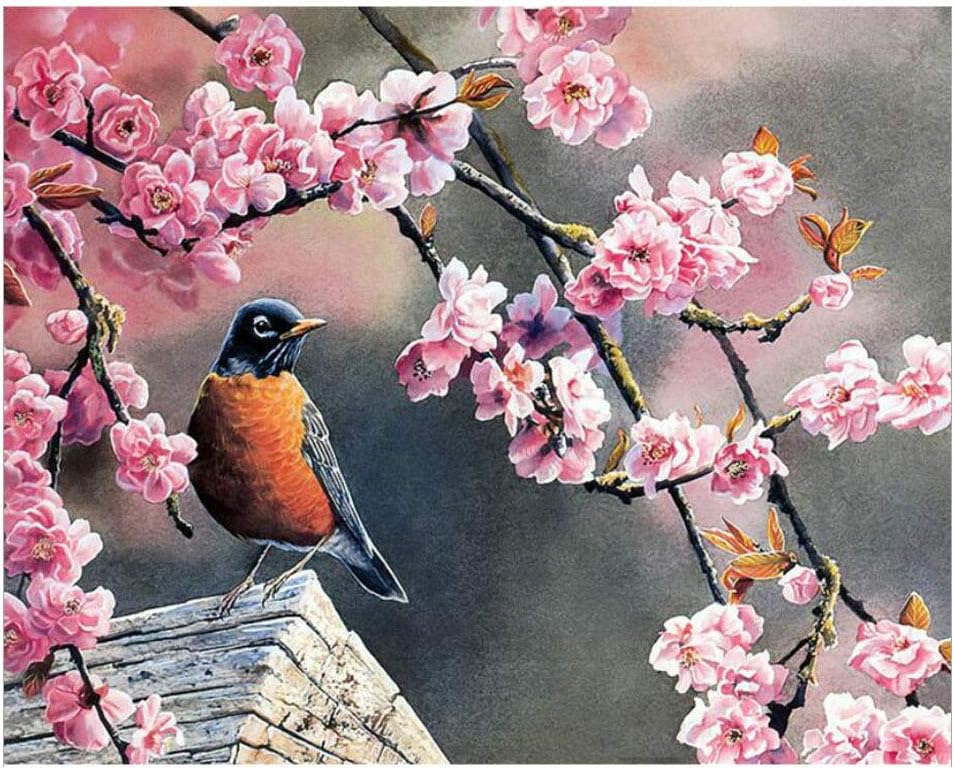 SUBERY DIY Oil Painting Paint by Numbers Kits for Adults Kids Beginner - Bird Expectation in Spring 16x20 inches (Frame)