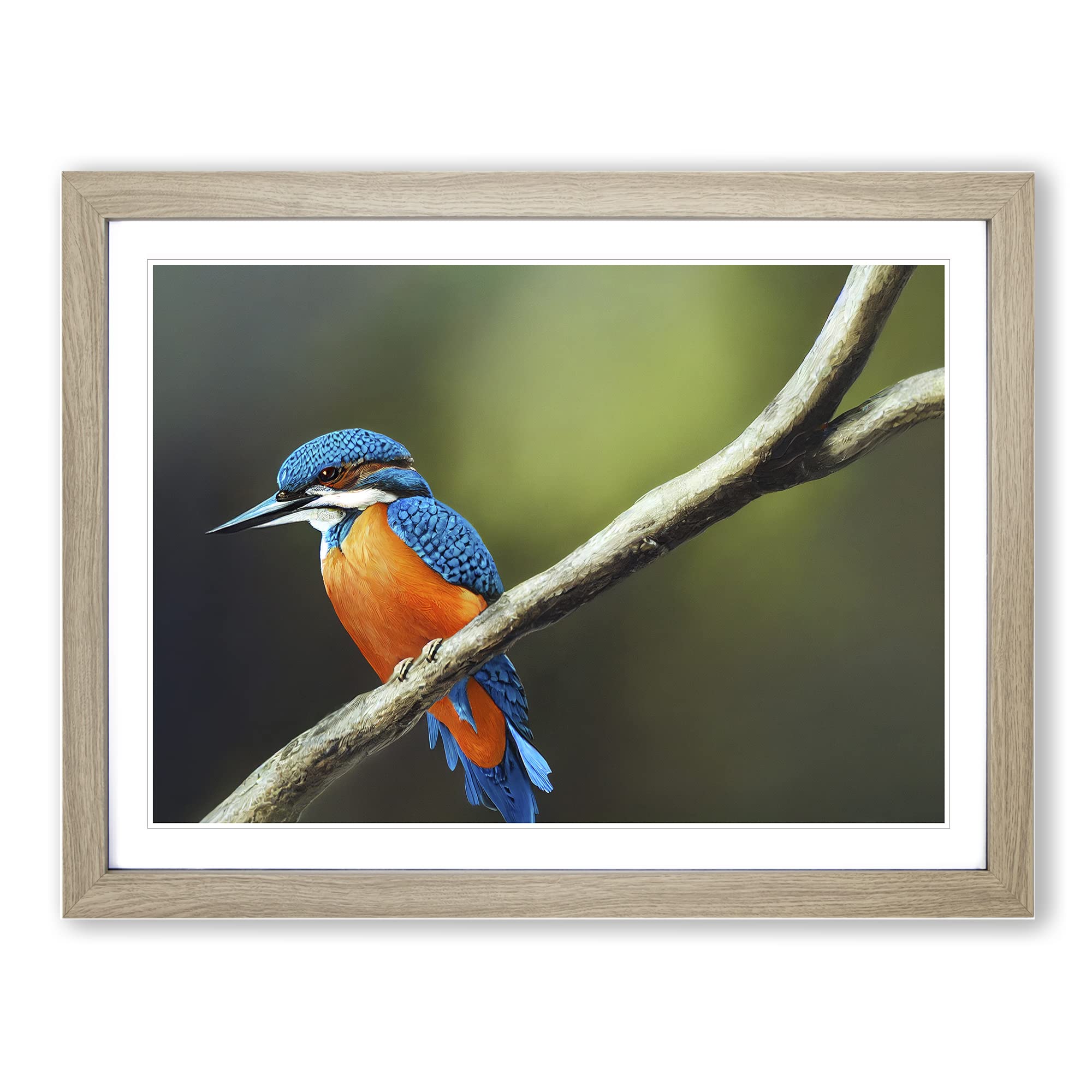 Unreal Kingfisher Bird Framed Print | A4 Oak Framed Wall Art | Ready to Hang | Modern Nature Picture | Living Room Bedroom Lounge Office