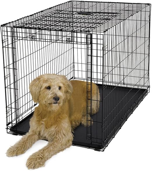 amazon xl dog crate