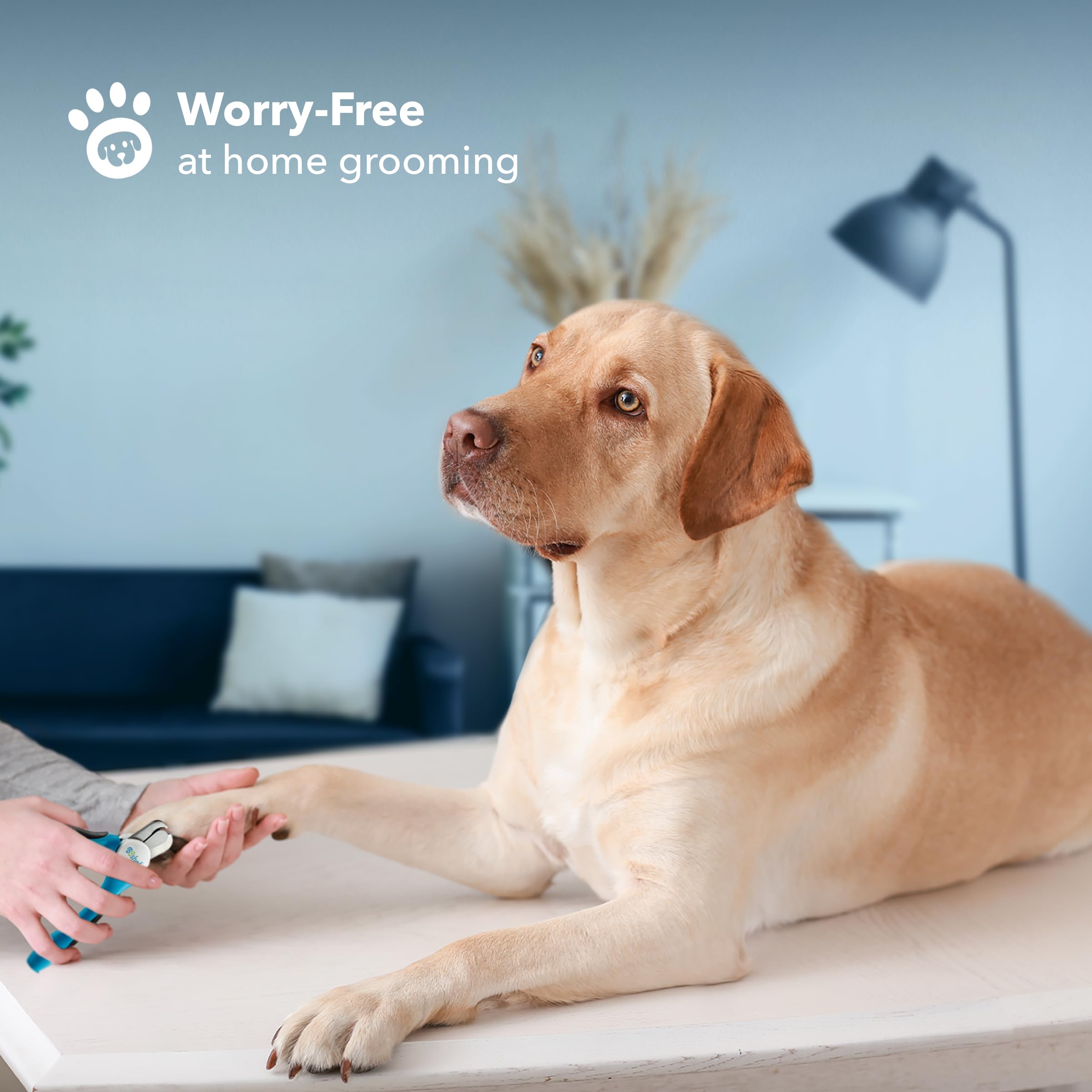 Dog Nail Clippers and Trimmer by Boshel with Safety Guard to Avoid