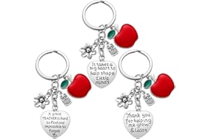 iWenSheng Teacher Gifts Keychain - Teacher Appreciation Gifts for Women Teacher Christmas Valentines Gifts