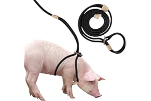 JINKOOZZ Mini Pig Harness & Leash, Adjustable 8 Feet Long Rope for Small to Medium Pet Pigs