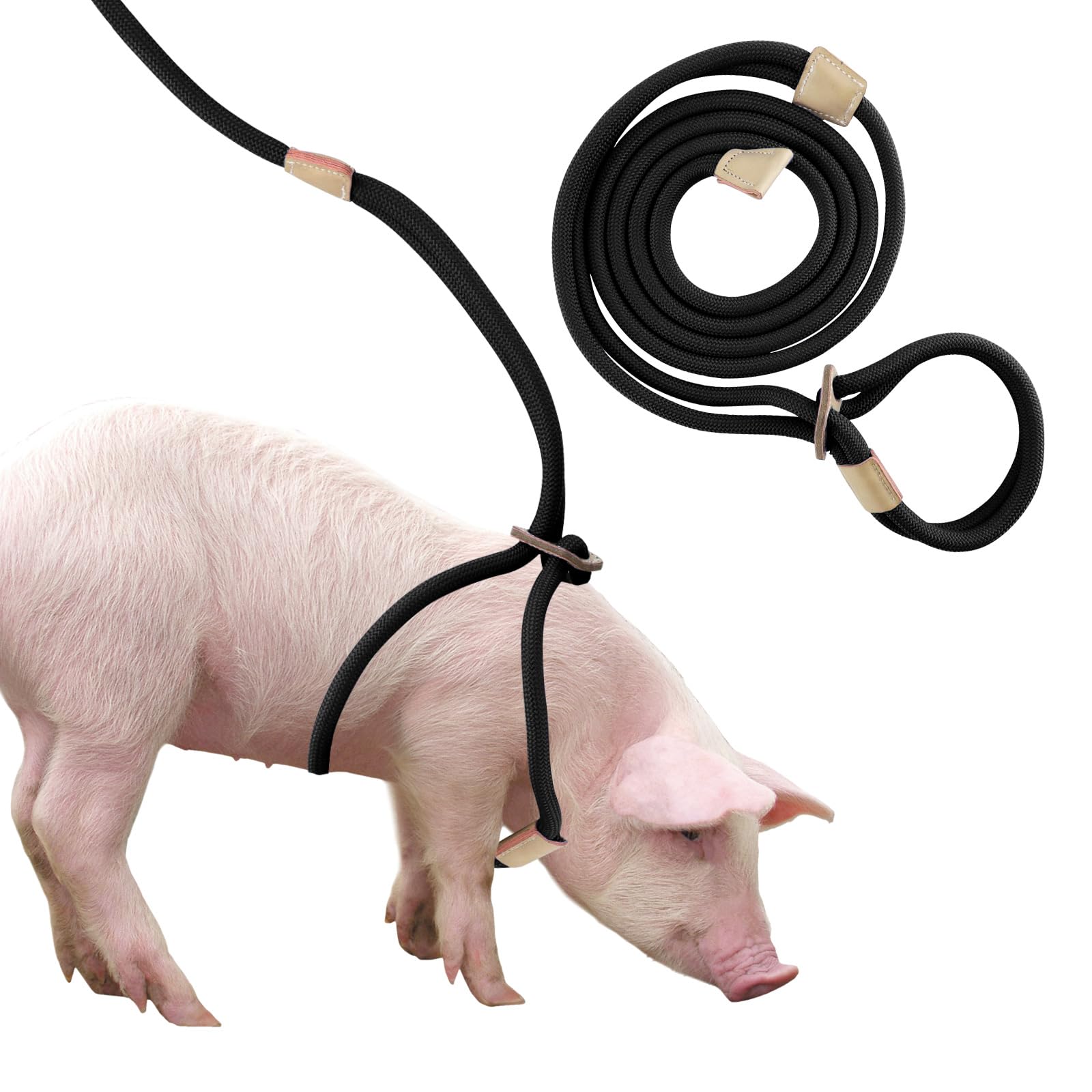 Mini Pig Harness & Leash, Adjustable 2.6 m Long Rope for Small to Medium Pet Pigs