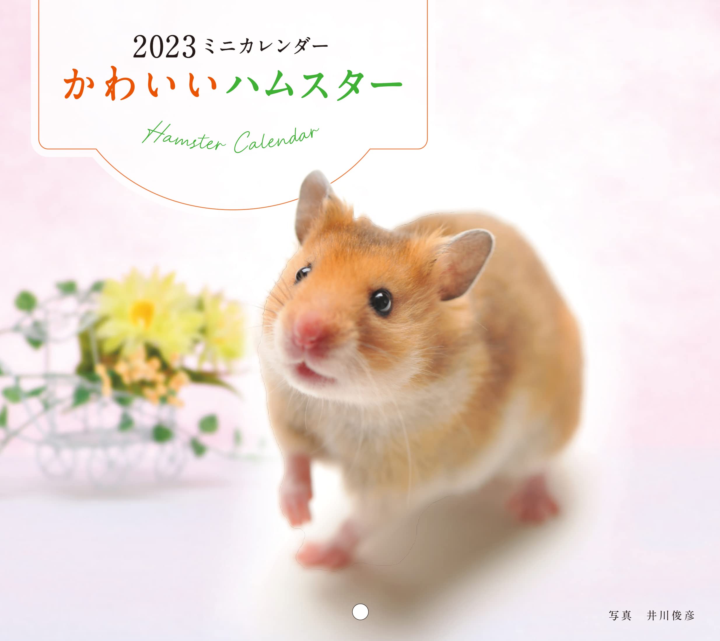 Amazon Co Jp 23年カレンダー かわいいハムスター 誠文堂新光社カレンダー 井川 俊彦 文房具 オフィス用品 Amazon Co Jp 23年カレンダー かわいいハムスター 誠文堂新光社カレンダー 井川 俊彦 文房具 オフィス用品