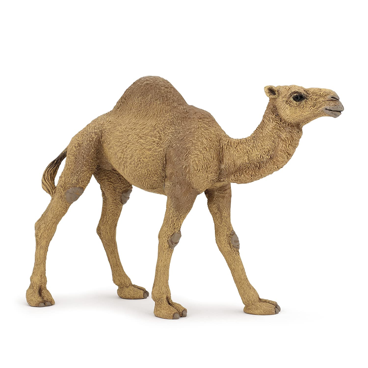 Papo Dromedary