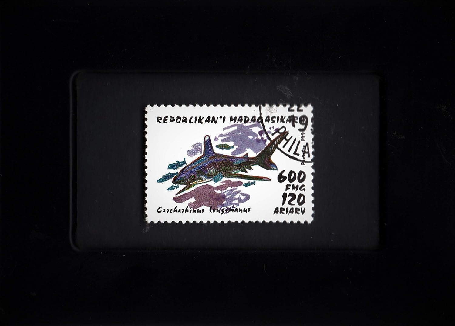 Used Collectible Postage Stamp - Oceanic White-Tip Shark