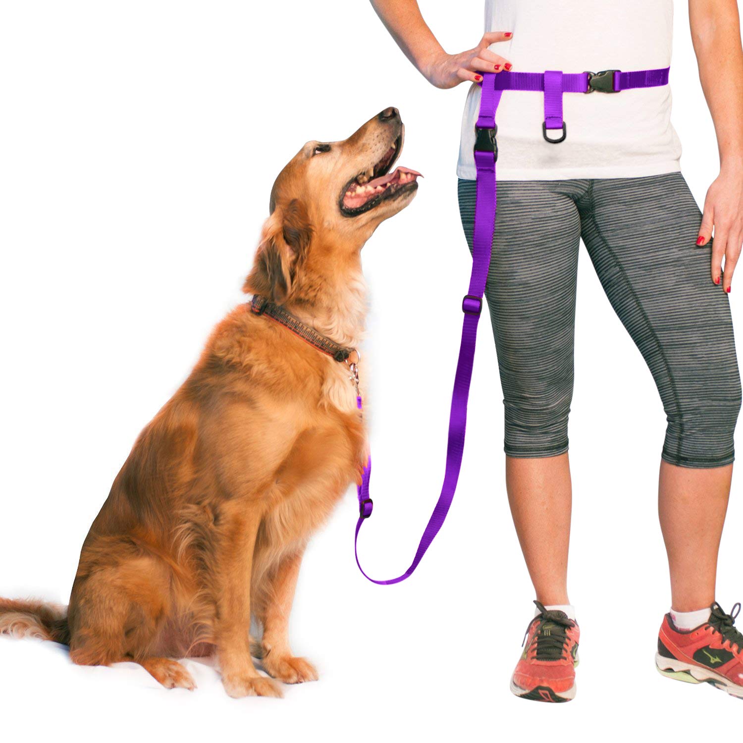 The Buddy System Hands Free Dog Leash, Adjustable Leash for Running, Jogging, Training and Service Dogs, Great for Small, Medium and Large Dogs, Made in USA (Purple, Large Belt (27"- 50" Waist))
