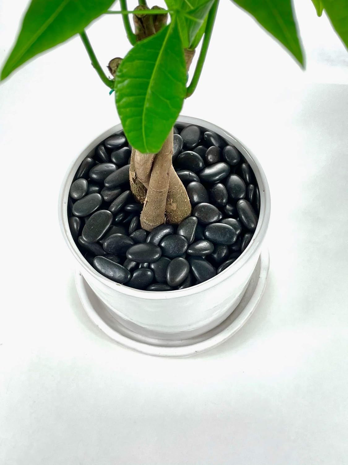KAYSO INC 3/8" Gravel Size Polish River Rocks/Pebbles for Garden, Home Decoration, Plant Toppers, Vase Fillers and Walkways - 10 LBS (Black) : Garden & Outdoor
