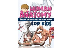 HUMAN ANATOMY FOR KIDS: Discover the human body - book for children and teens