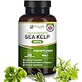 Sea Kelp 2000mg 200 Vegan Tablets | Natural Source of Iodine | Premium Ingredients | Proudly Made in The UK by Prowise