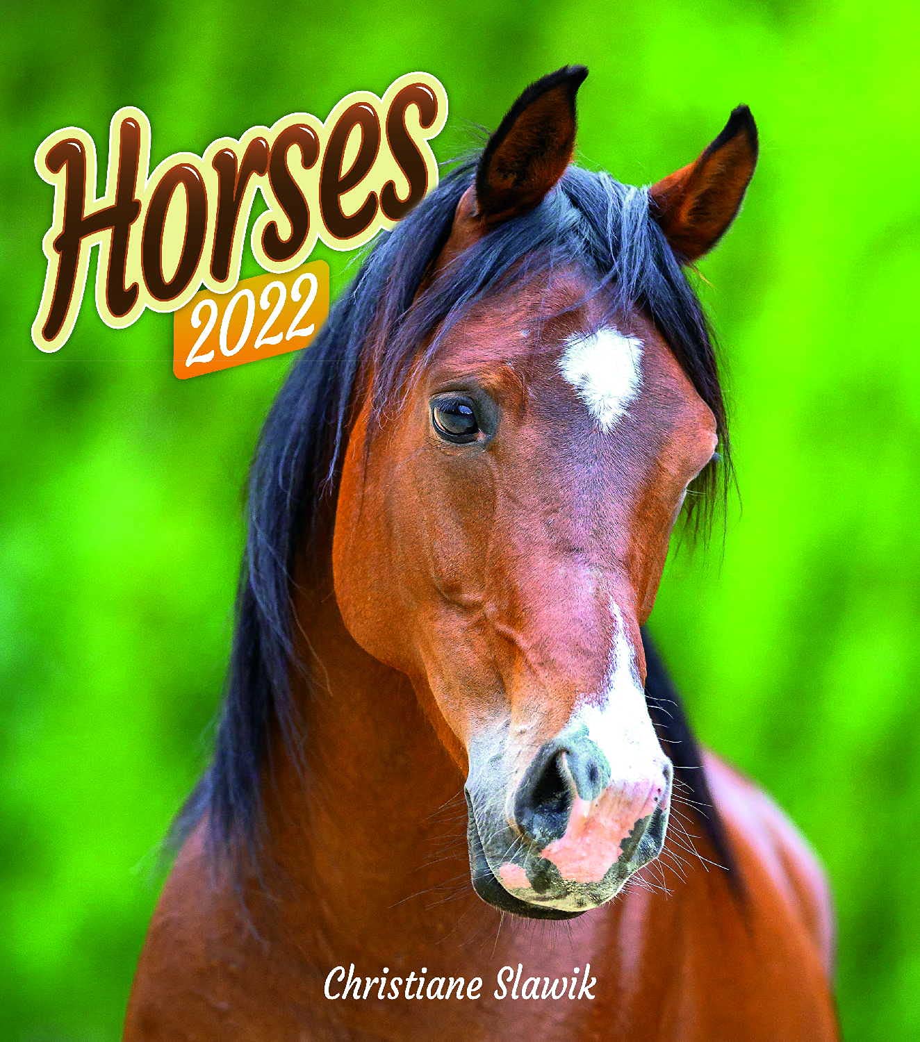 Horses Calendar - Calendars - 2021 - 2022 Wall Calendar - Photo Calendar - 12 Month Calendar By Presco Group: Megacalendars: 8595054289652: Amazon.com: Books