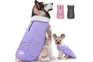iBuddy Dog Winter Jackets with Fleece Vest,Waterproof Warm Dog Snow Jacket Windproof, Reflective Adjustable Pet Dogs Cold Winter Coat for Large Dogs Girl Boy