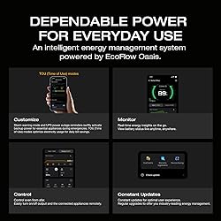 EF ECOFLOW Solar Generator Delta 3 with 160W Solar