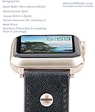 misfit phase champagne