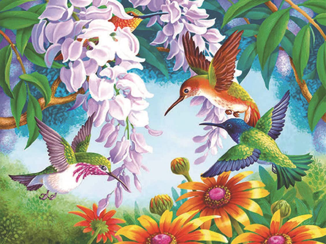 Cross Stitch Kits Stamped, OWN4B Hummingbird and Flowers Printed Pattern 11CT 14.2x18.1 inch DIY Embroidery Kit (Birds)