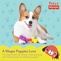 Fisher-Price for Pets ColorBites Flip Stick