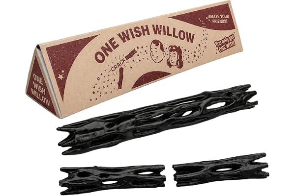 One Wish Willow Stick with Box, 3D Printed Wishing Willow Snap Stick, Breakable Magic Charm for Spiritual Healing, Good Fortu