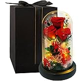HipTree Preserved Red Rose in Glass Dome with LED Lights - Forever Eternal Real Rose Gifts for Women, Valentines Day Mothers Day Birthday Wedding Anniversary for Mom Wife Girlfriend