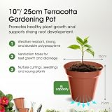Whitefurze G04024 25cm Garden Pot Terracotta 8 L Polypropylene view 2