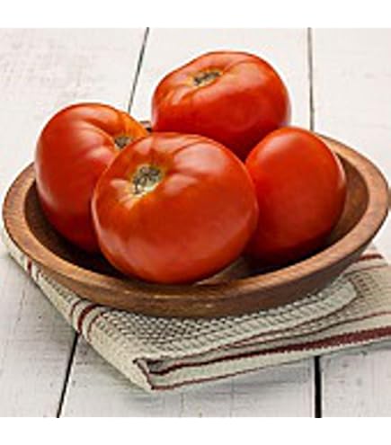 Amazon.com : Dixie Red F1 Hybrid Tomato Seeds - high yields
