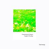 Hemway Glitter Shaker Fluorescent Green 110g Super Chunky Craft Glitter view 2